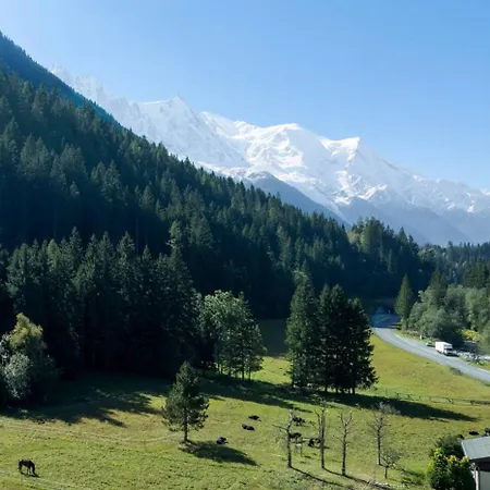 Les Iles - 165m2 Vue Mont Familial 10 Pax Σαλέ *